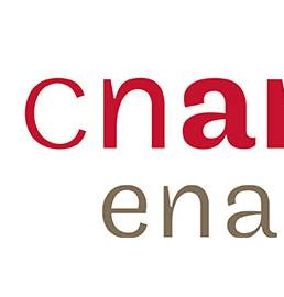 Enass